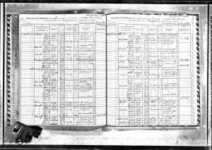1915 NY Census for the Goldschlagers