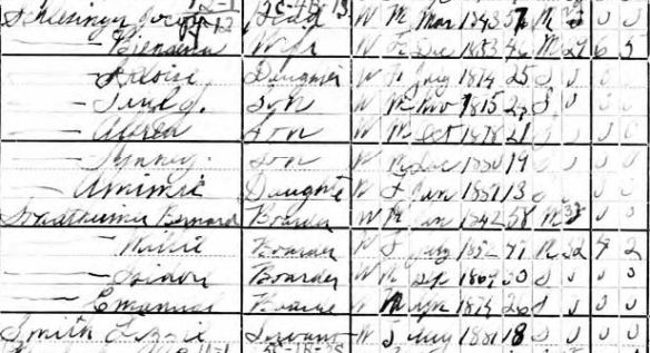 Brendina and Jacob Schlesinger 1900 census Year: 1900; Census Place: Philadelphia Ward 20, Philadelphia, Pennsylvania; Roll: 1463; Enumeration District: 0421; FHL microfilm: 1241462