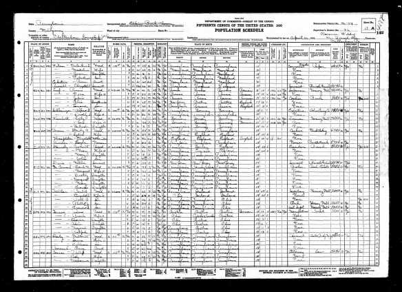 Alfred and Dorothy (Steele) Schlesinger 1930 US census Year: 1930; Census Place: Cheltenham, Montgomery, Pennsylvania; Roll: 2081; Page: 17A; Enumeration District: 0024; Image: 285.0; FHL microfilm: 2341815